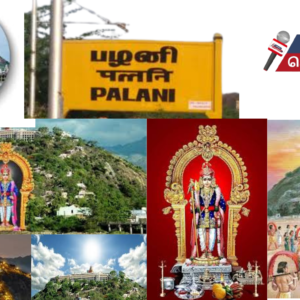 பங்குனி உத்திர திருவிழாவை முன்னிட்டு பழநியில் குவிந்த ஆயிரக்கணக்கான பக்தர்கள்…..